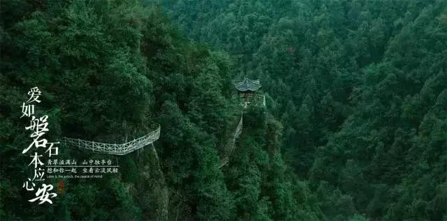逗小猴开心系列196