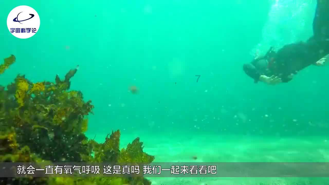 次元喵