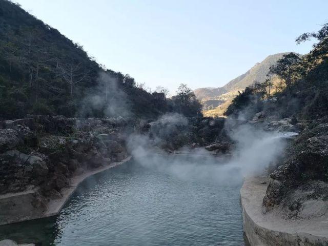 逃离奇异森林
