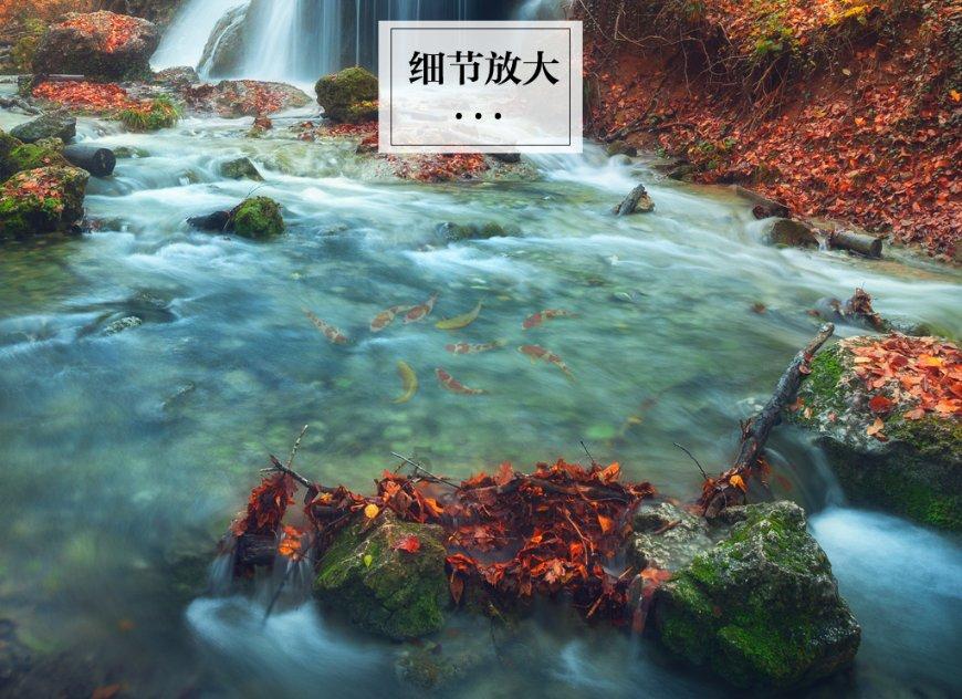 命运骰子