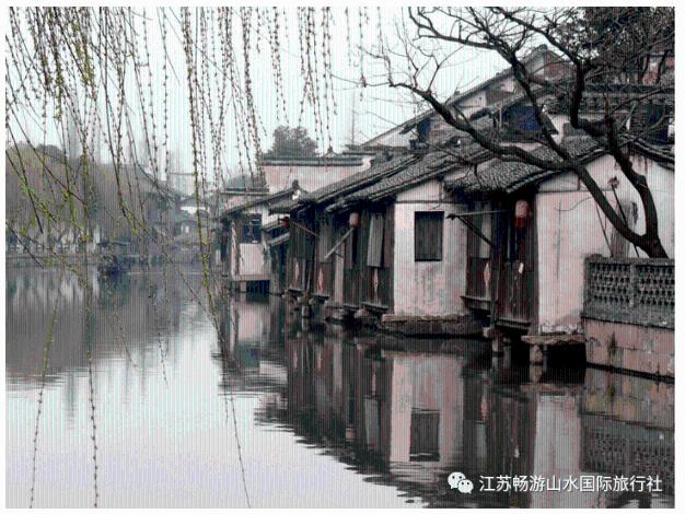 虫虫助手下载