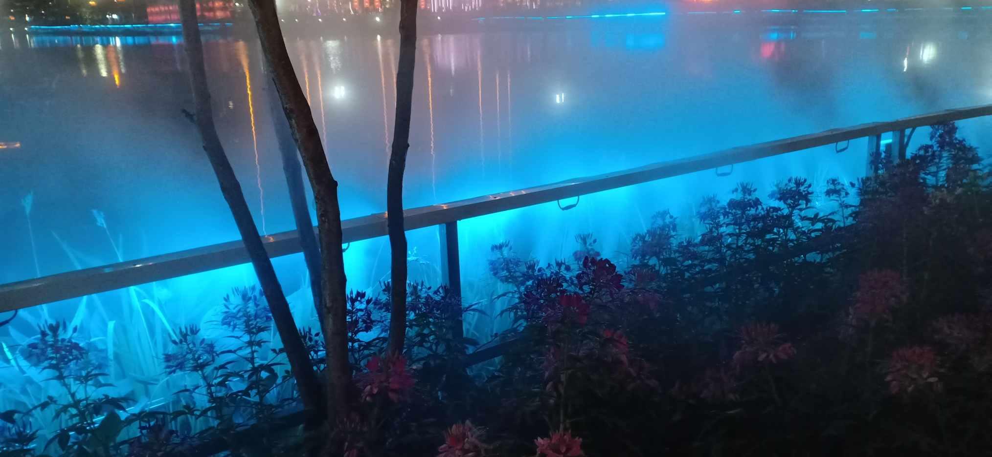 熊黛林惊现街头茶档!朴素打扮难掩星味,网友直呼认不出!